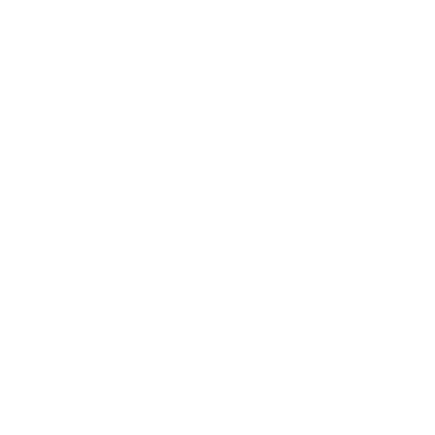 Etui na iPhone 15 Pro CPI WARSZAWA